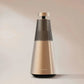 Bang & Olufsen BeoSound 2 3rd Gen - HiFi - Profis Darmstadt