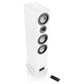 Canton Smart Townus 8 Set - HiFi - Profis Darmstadt