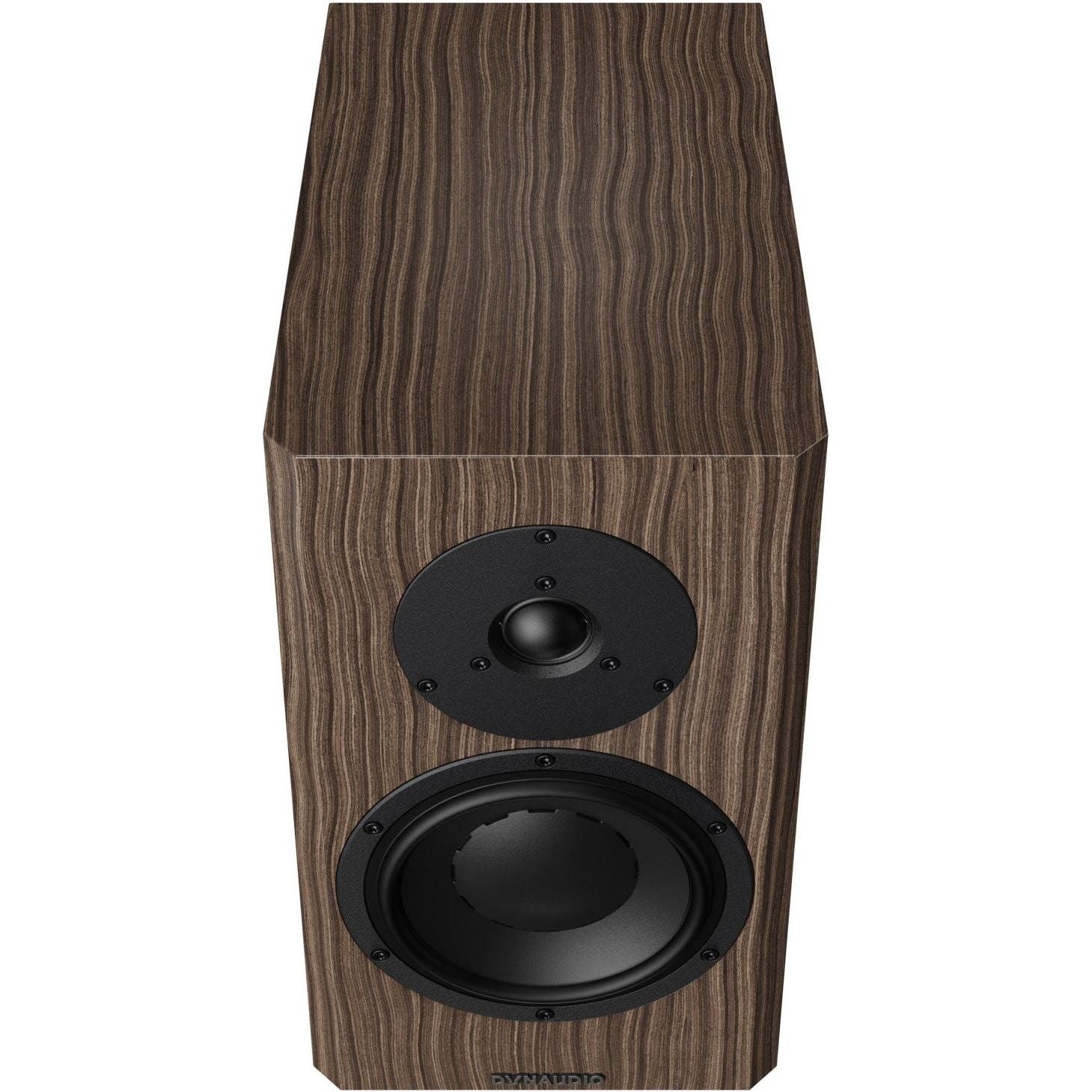 Dynaudio Special Forty /Stück - HiFi - Profis Darmstadt